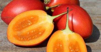 el tamarillo