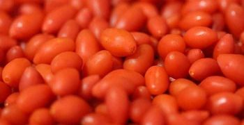 las bayas de goji