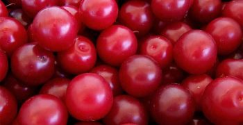 las ciruelas
