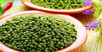 los granos verdes