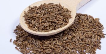 semillas de palillo