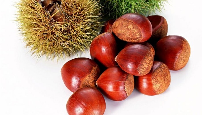 Los 6 Grandes Beneficios De La Castaña | Beneficioss.com