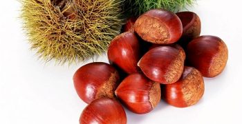 beneficios de la castaña