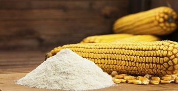 Beneficios Del Almidón De Maíz