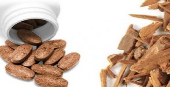 Beneficios De La Corteza De Yohimbe