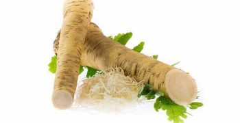 Beneficios De La Raíz De Rábano Picante