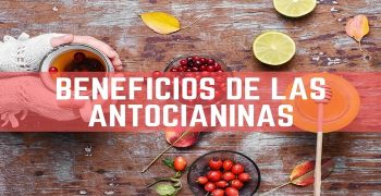Beneficios De Las Antocianinas