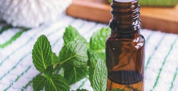 Beneficios Del Aceite De Menta