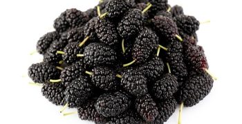 Beneficios De Las Moras