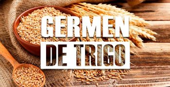 germen de trigo