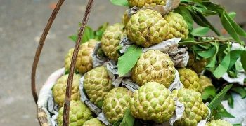 Beneficios De La Fruta Atis