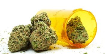 cannabidiol