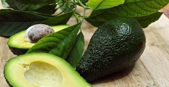 Beneficios De Consumir Hojas De Aguacate