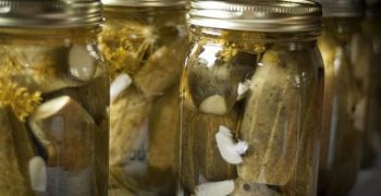 Beneficios De Comer Hojas Enlatadas