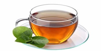 Beneficios De Beber Té De Hojas De Guyabano