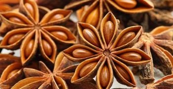Beneficios Del Anís Estrellado