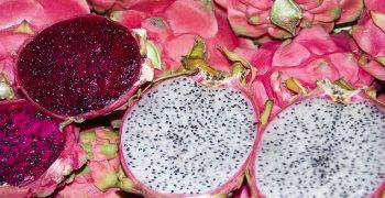 Beneficios De La Fruta Del Dragón