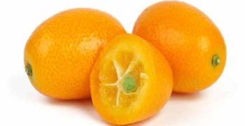 Beneficios Del Kumquat