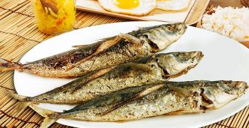 Beneficios De Los Peces Galunggong