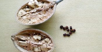 Beneficios De La Fruta Baobab