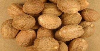 Beneficios De La Garcinia Kola