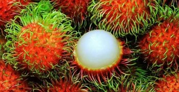 Beneficios Del Rambután