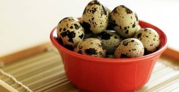 Beneficios De Comer Los Huevos De Codorniz