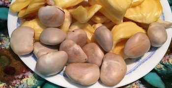 semillas de Jackfruit.