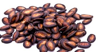semillas de patilla germinadas