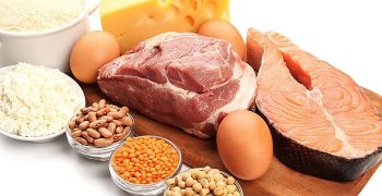 carnes, aves, pescados