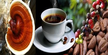 café de hongos
