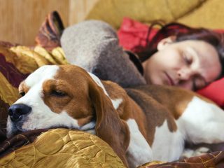 dormir con tu perro